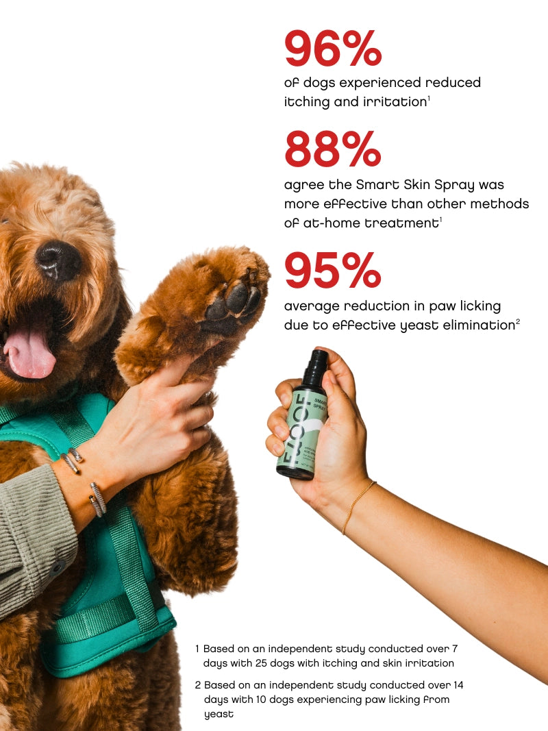 Smart Skin Spray - 65 ML
