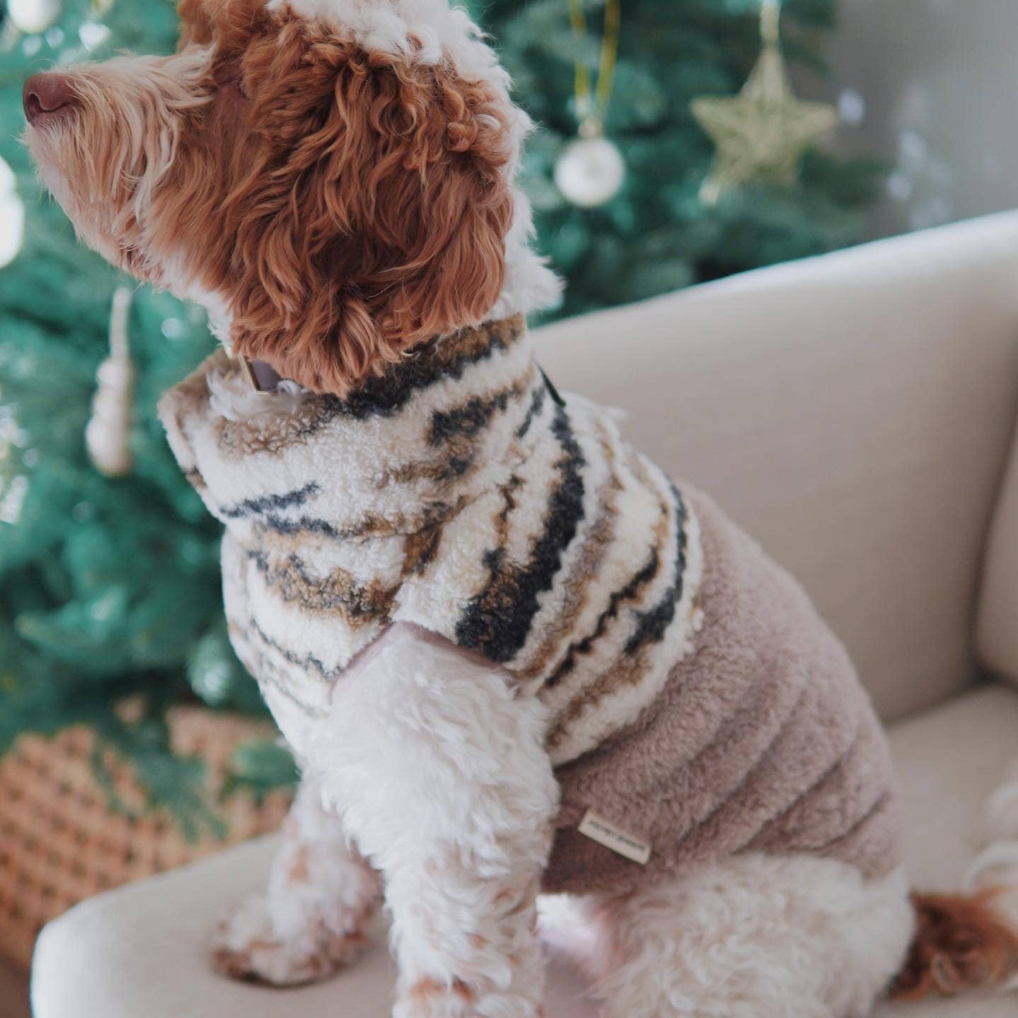 LAMBWOLF - CAMPER DOG CLOTHING - APPAREL