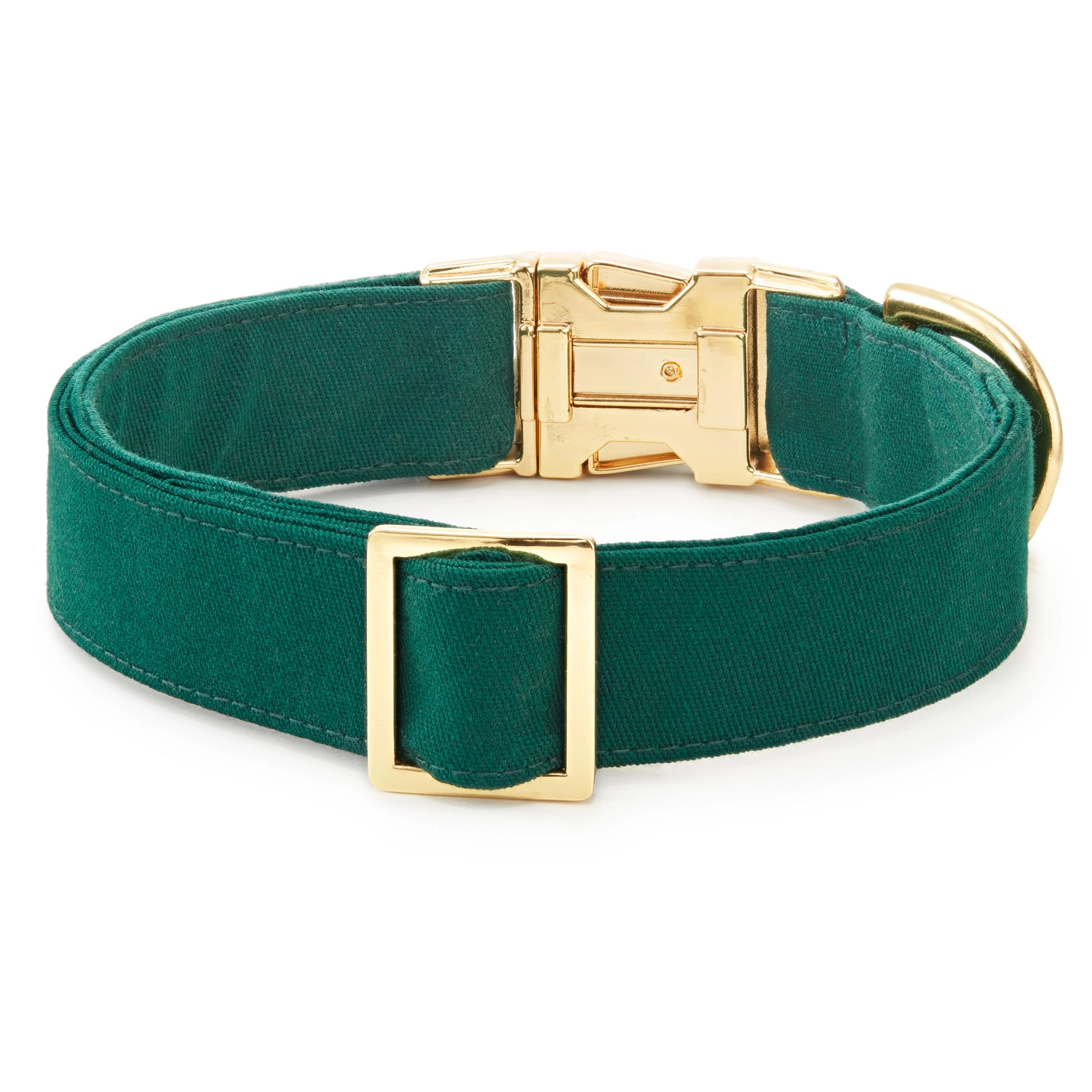 THE FOGGY DOG - Evergreen Dog Collar