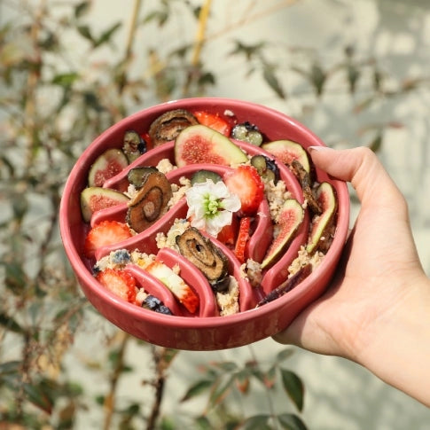 Ceramic Slow Feeder Bowl - Red