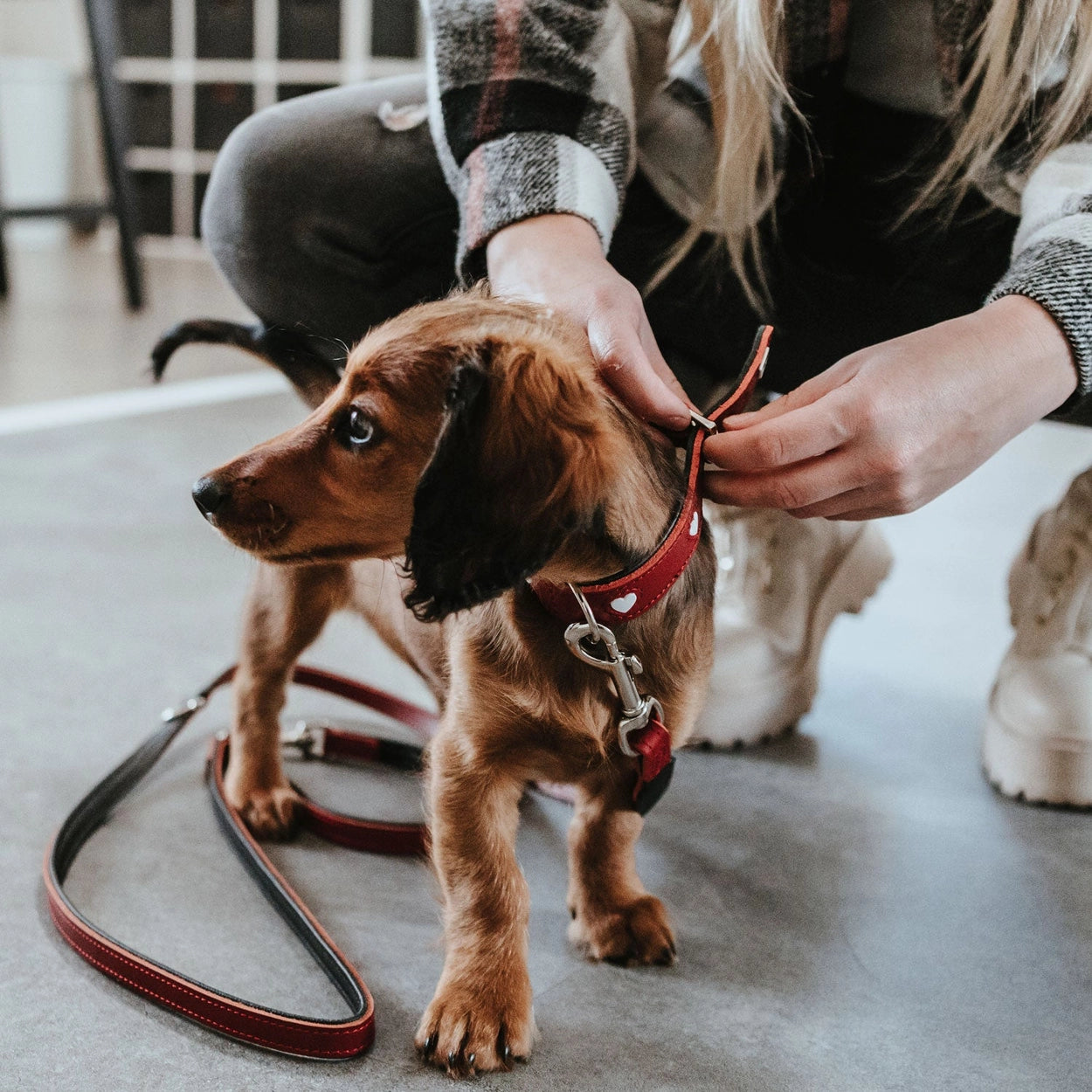 The Love Leash