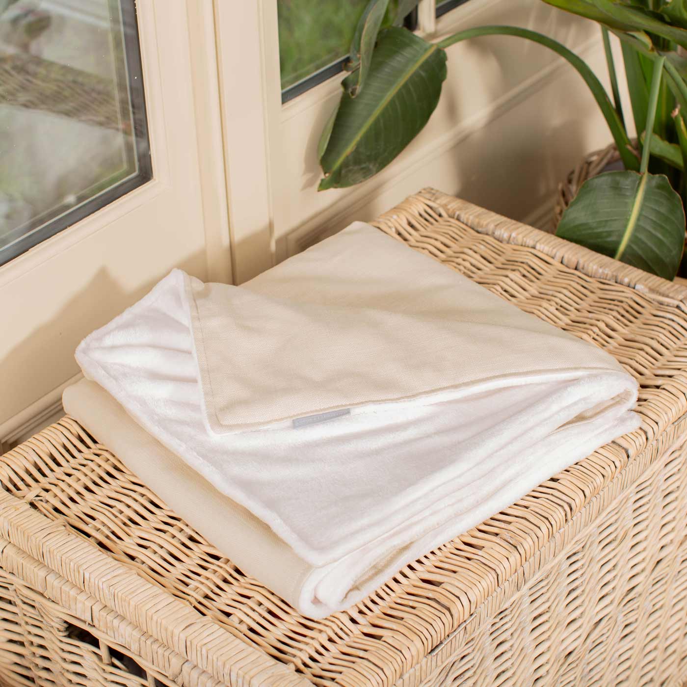 Dog & Puppy Blanket in Savanna Bone