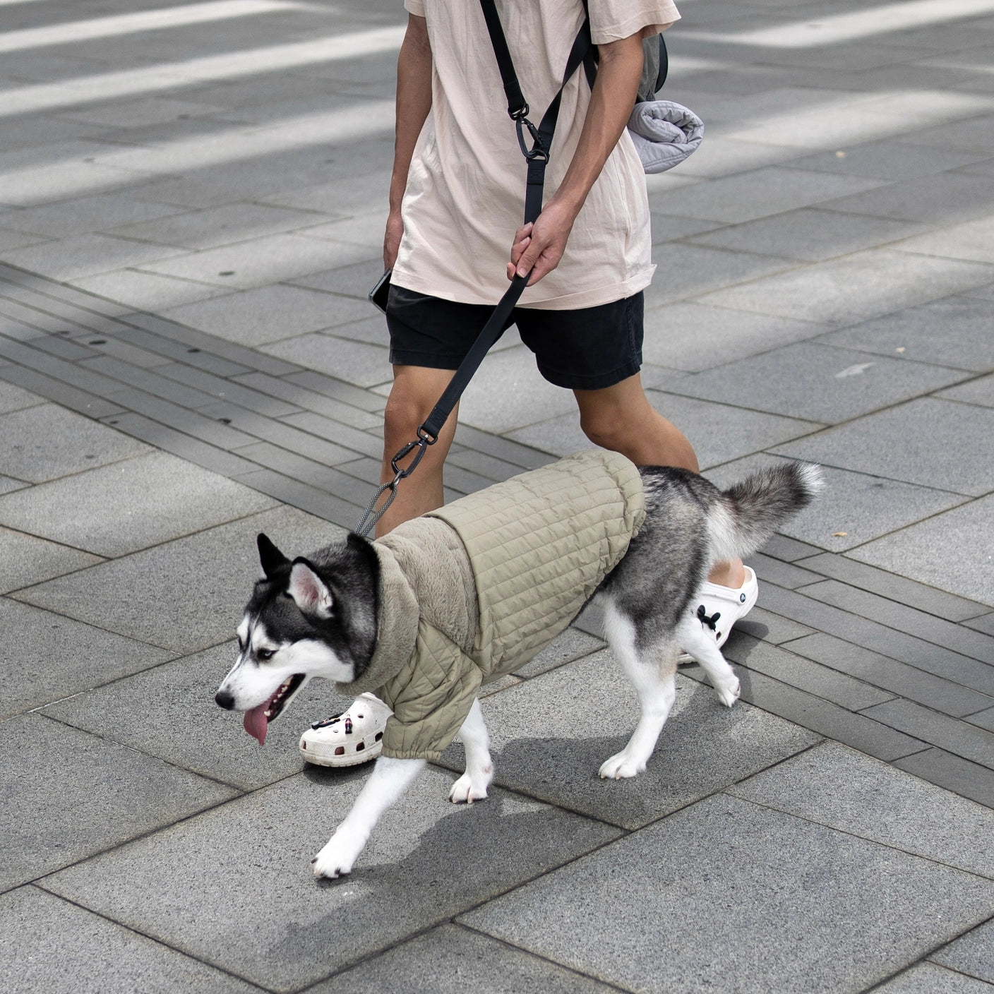 LAMBWOLF - Soho Dog Jacket
