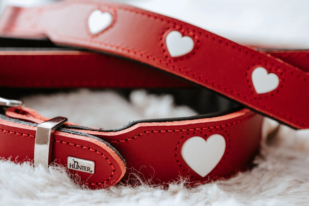 The Love Collar