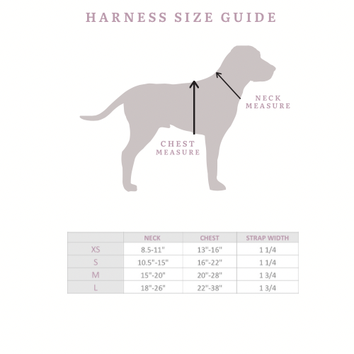 COMFORT HARNESS - TOFFEE TEDDY