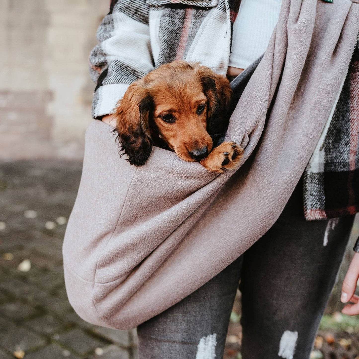 HUNTER Los Angeles Dog Carrier / Sling