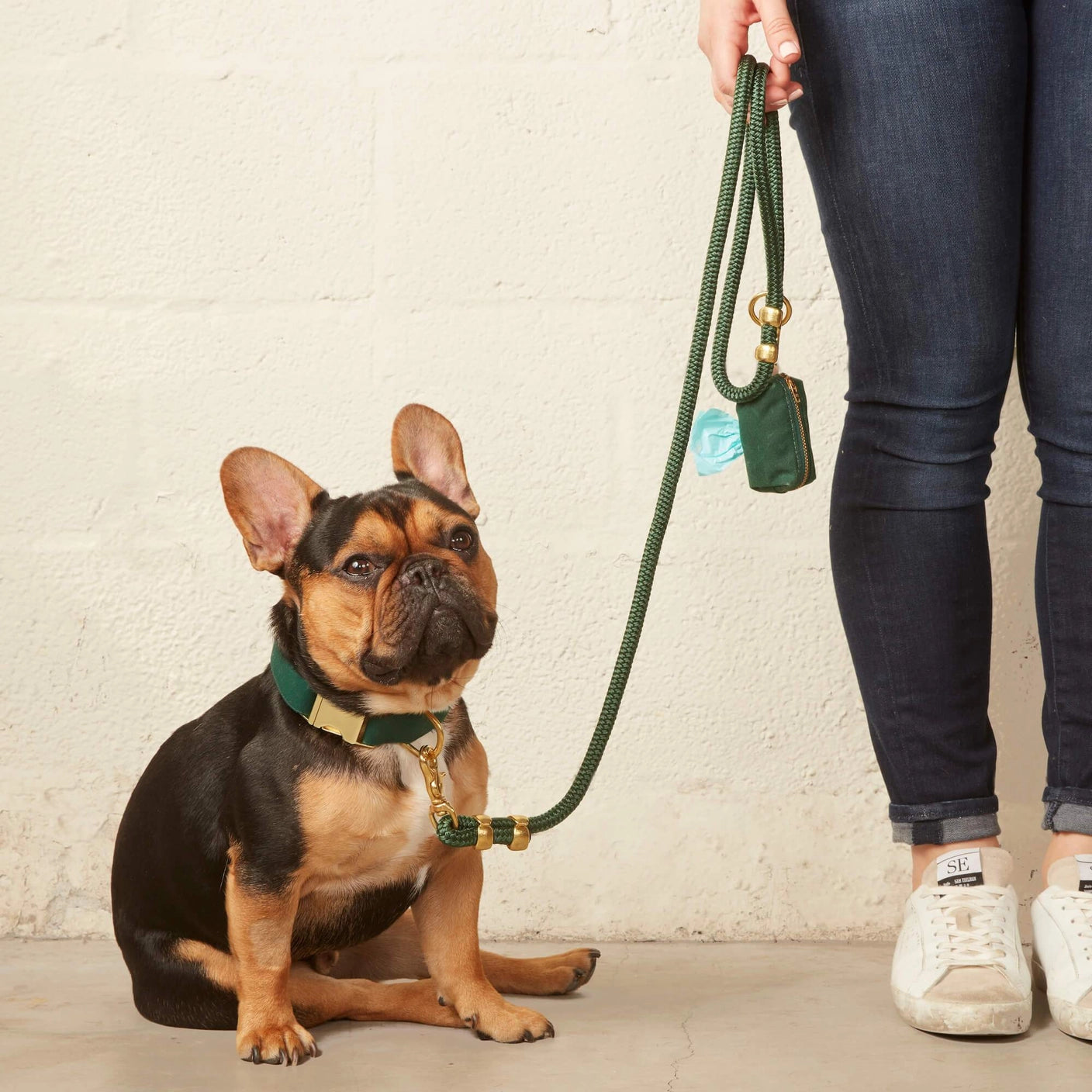 THE FOGGY DOG - Evergreen Dog Collar