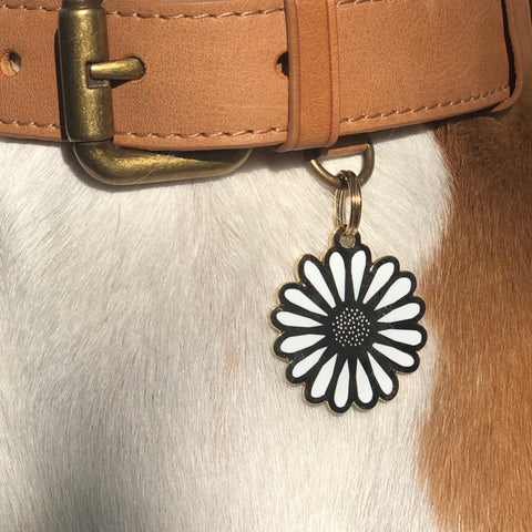 Pet ID Tag - White Daisy