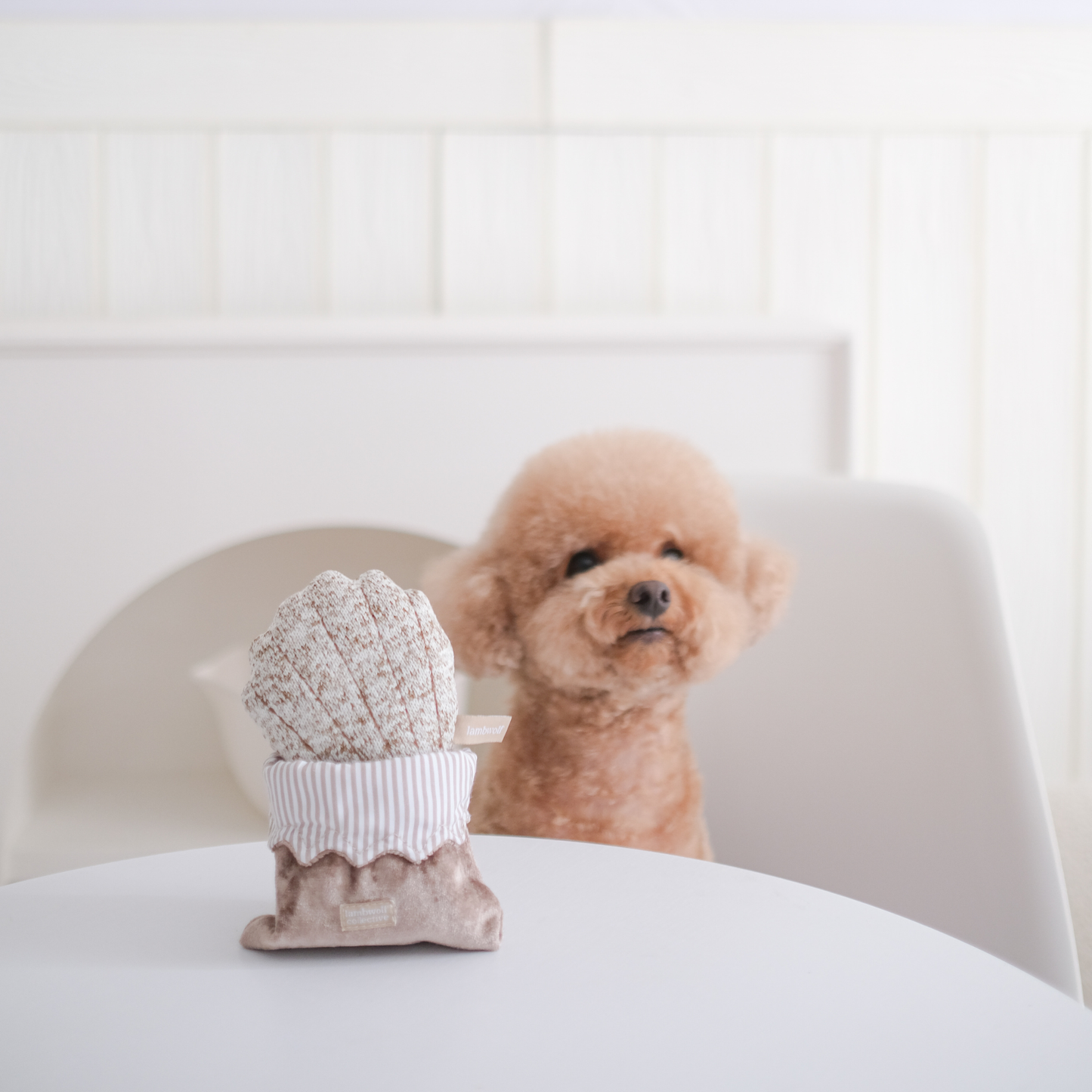 LAMBWOLF - PETITE TWO PLAY SET & ENRICHMENT DOG TOY