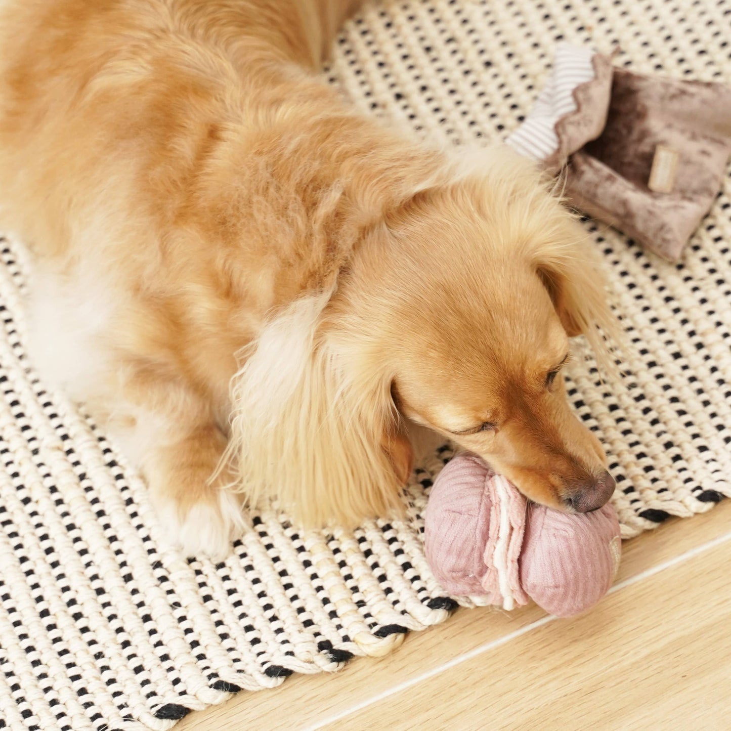 LAMBWOLF - PETITE TWO PLAY SET & ENRICHMENT DOG TOY