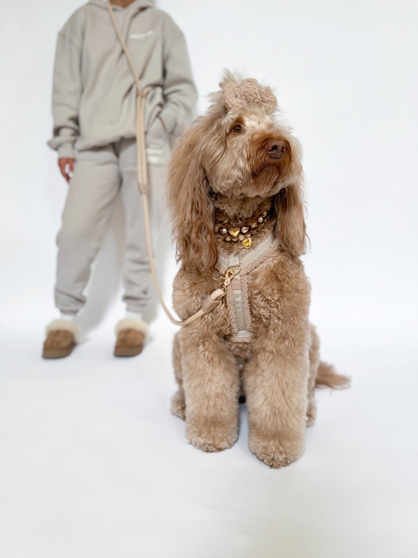COMFORT HARNESS - TOFFEE TEDDY