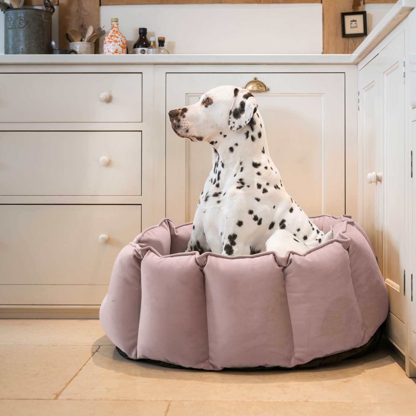 High Wall Bed For Dogs in Blossom Velvet