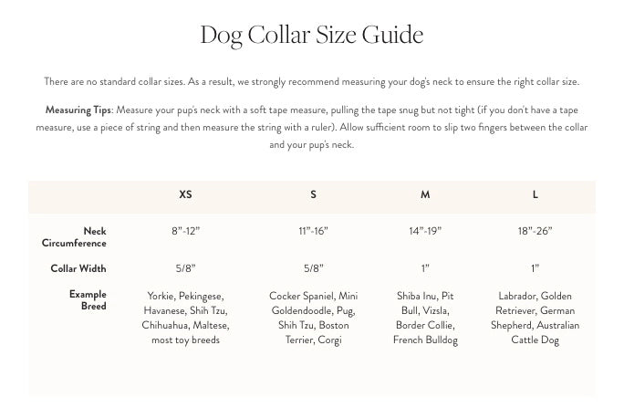 THE FOGGY DOG - Evergreen Dog Collar
