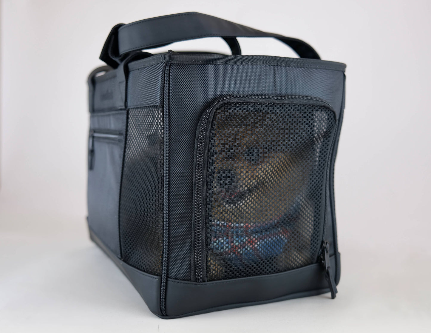 All-Black Pet Travel Carrier