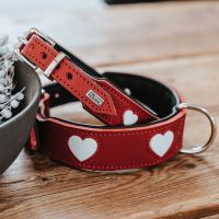 The Love Collar