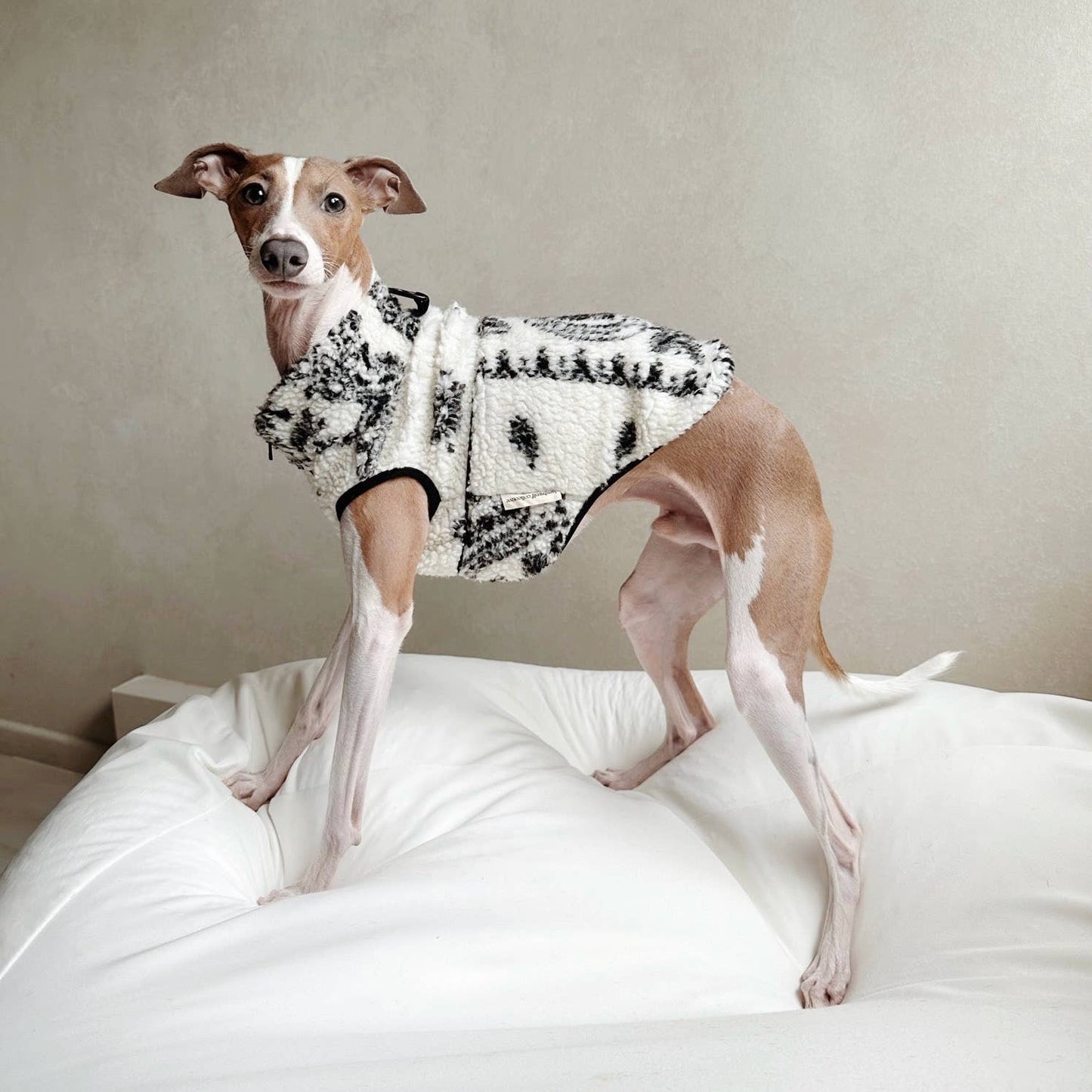 LAMBWOLF - CAMPER DOG CLOTHING - APPAREL