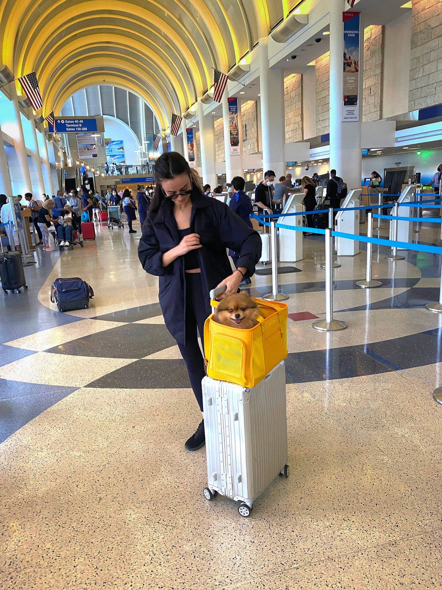Sunburst Yellow Pet Travel Carrier