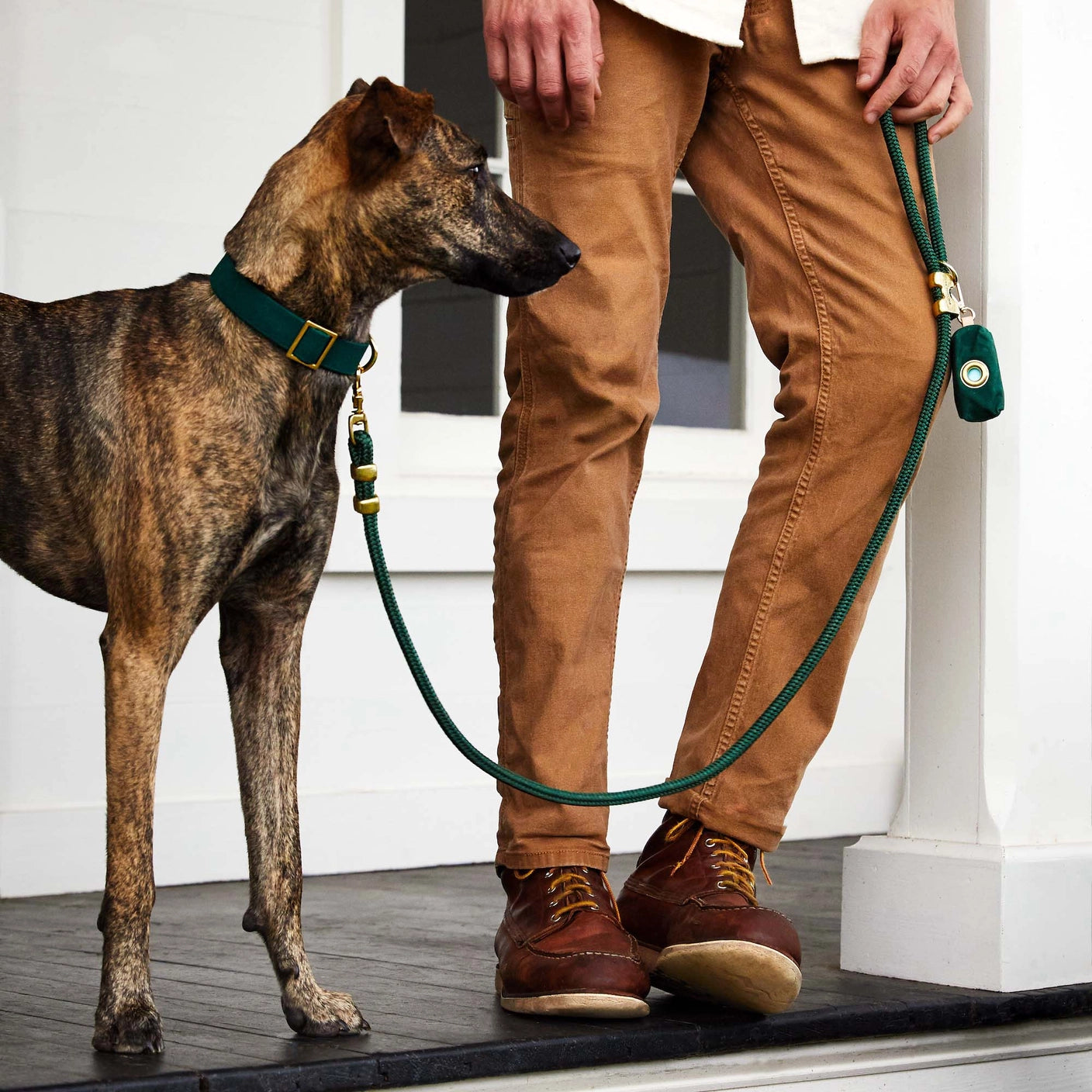 THE FOGGY DOG - Evergreen Dog Collar
