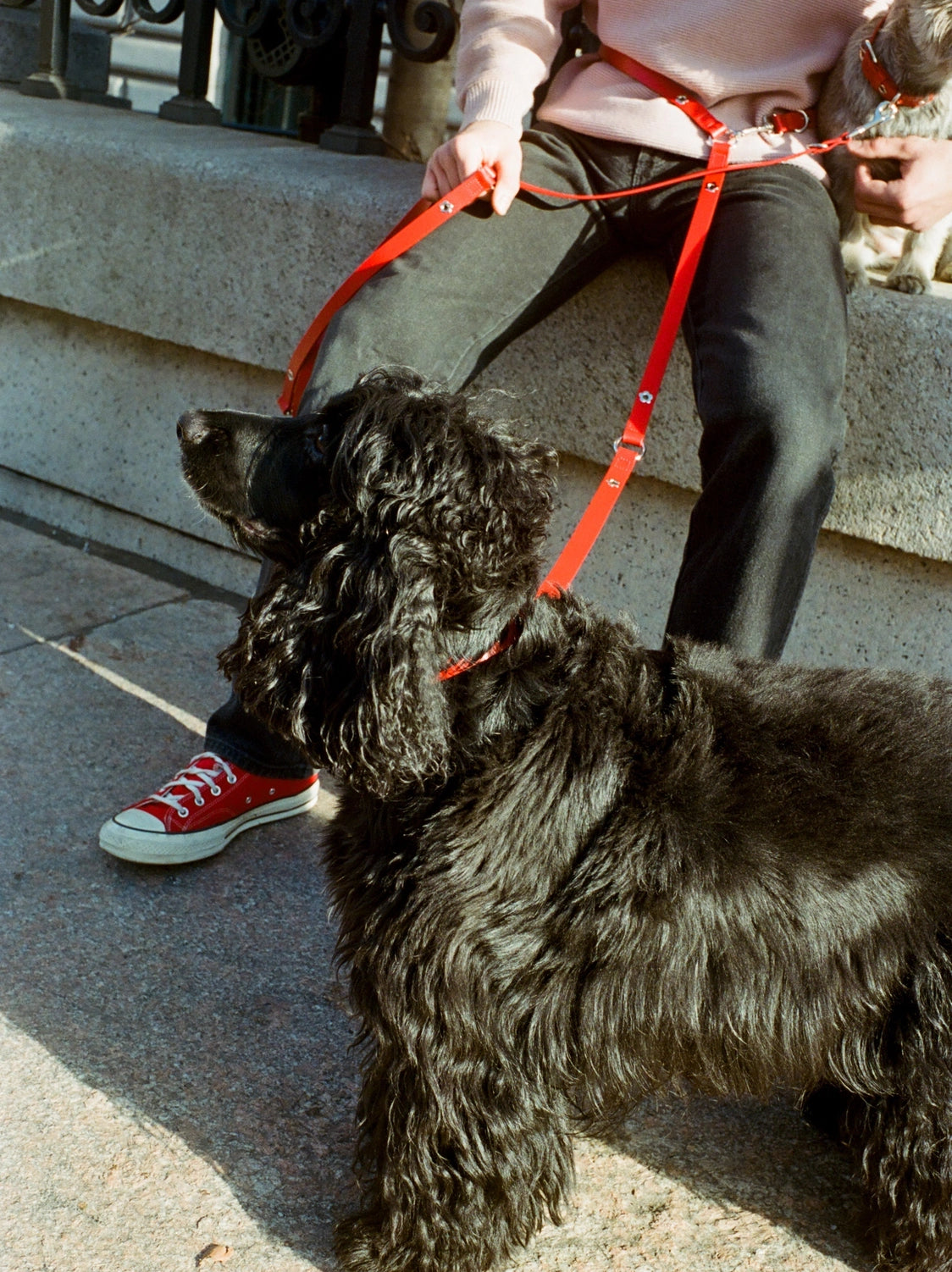 Flower Power Adjustable Leash