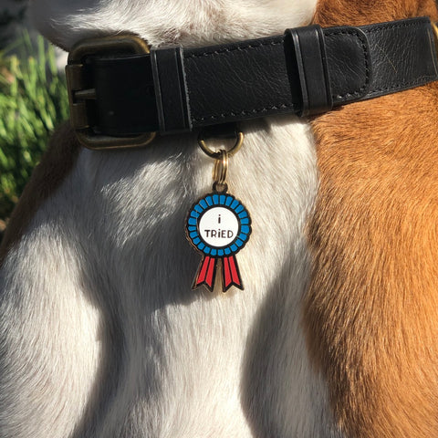 Pet ID Tag - I tried