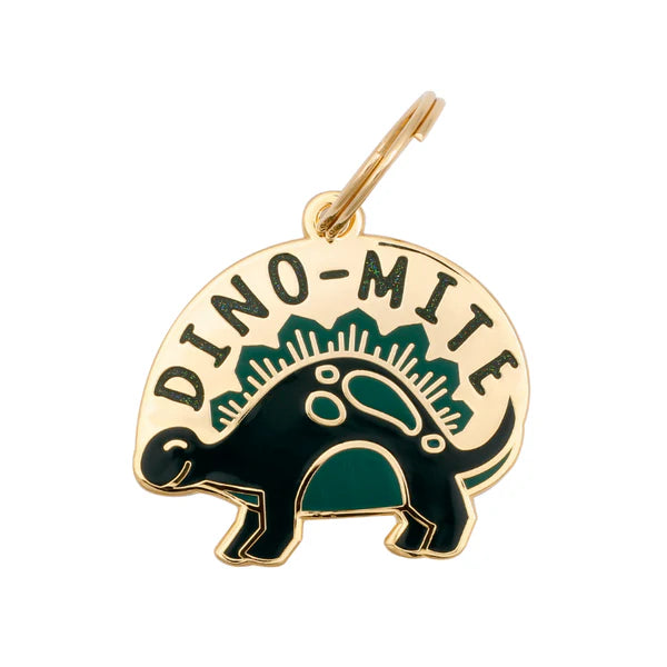 Pet ID Tag - Dino-Mite