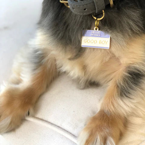 Pet ID Tag - Good Boy