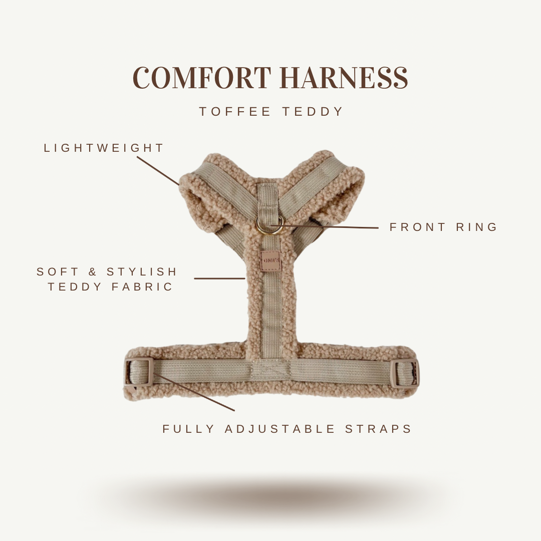 COMFORT HARNESS - TOFFEE TEDDY