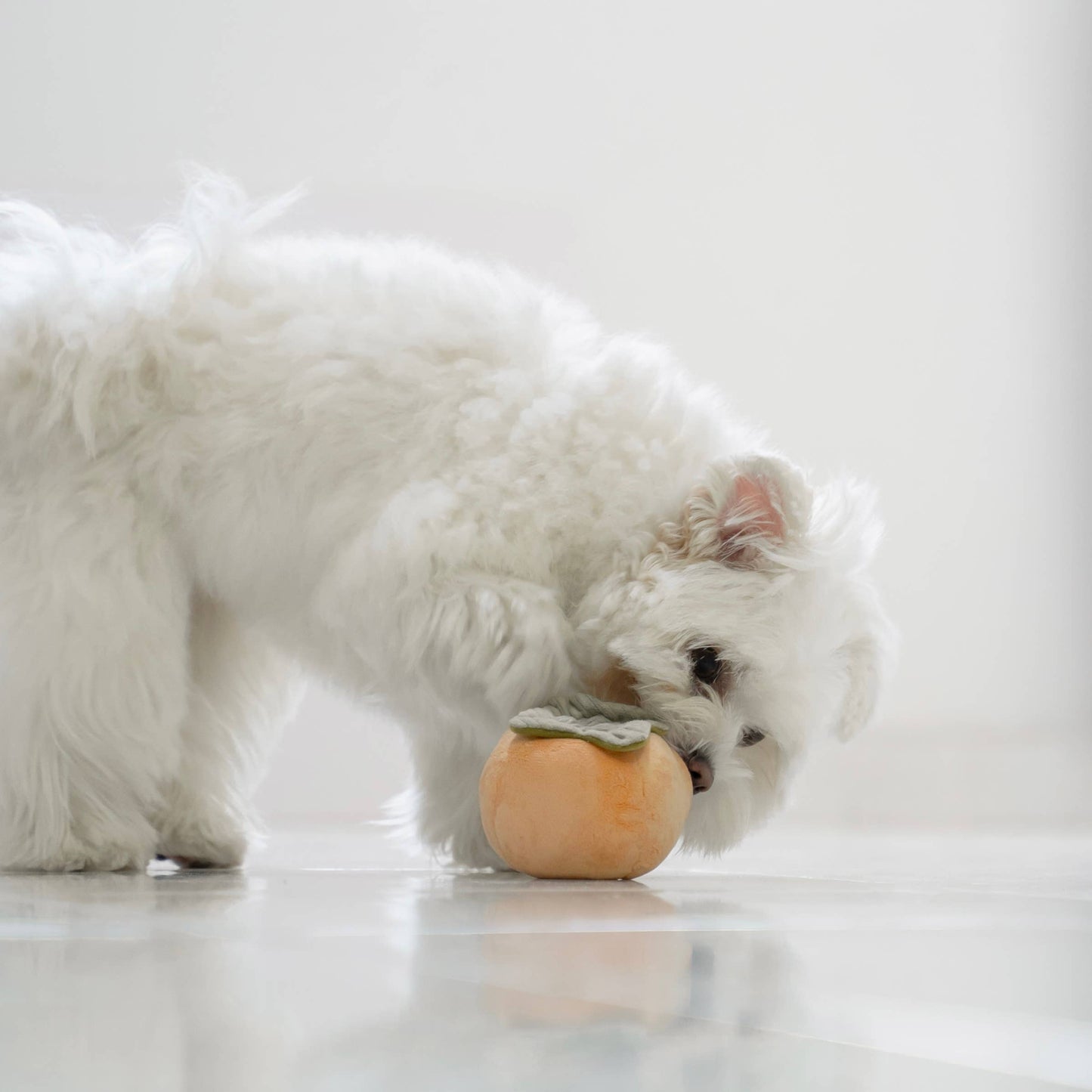 LAMBWOLF - FRUIT ENRICHMENT TOY SET & SNUFFLE TOY