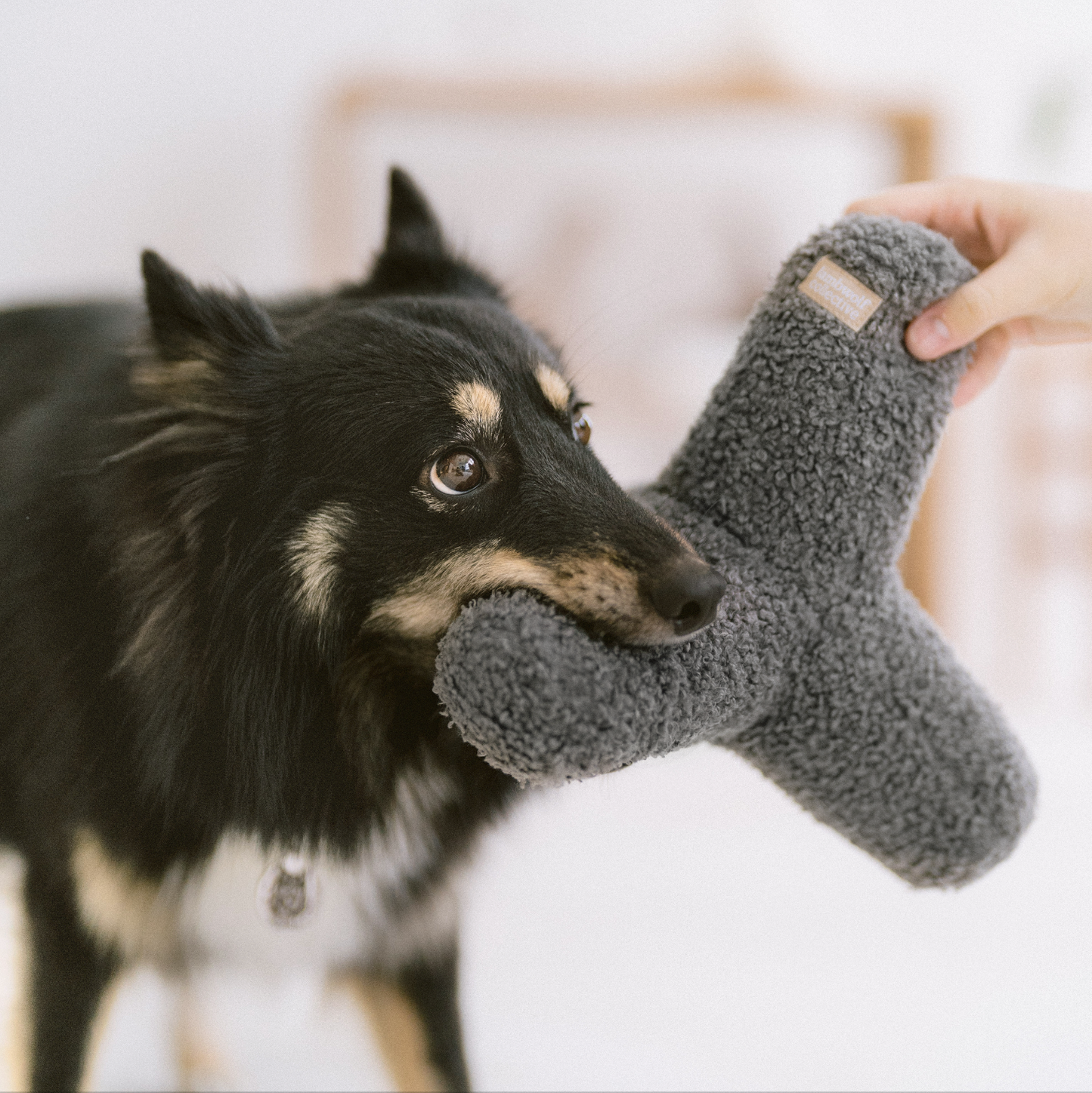 LAMBWOLF - O BREUER | OVERSIZED DOG TOY