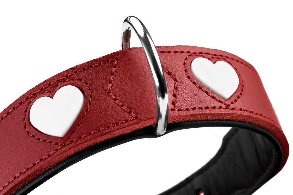 The Love Collar