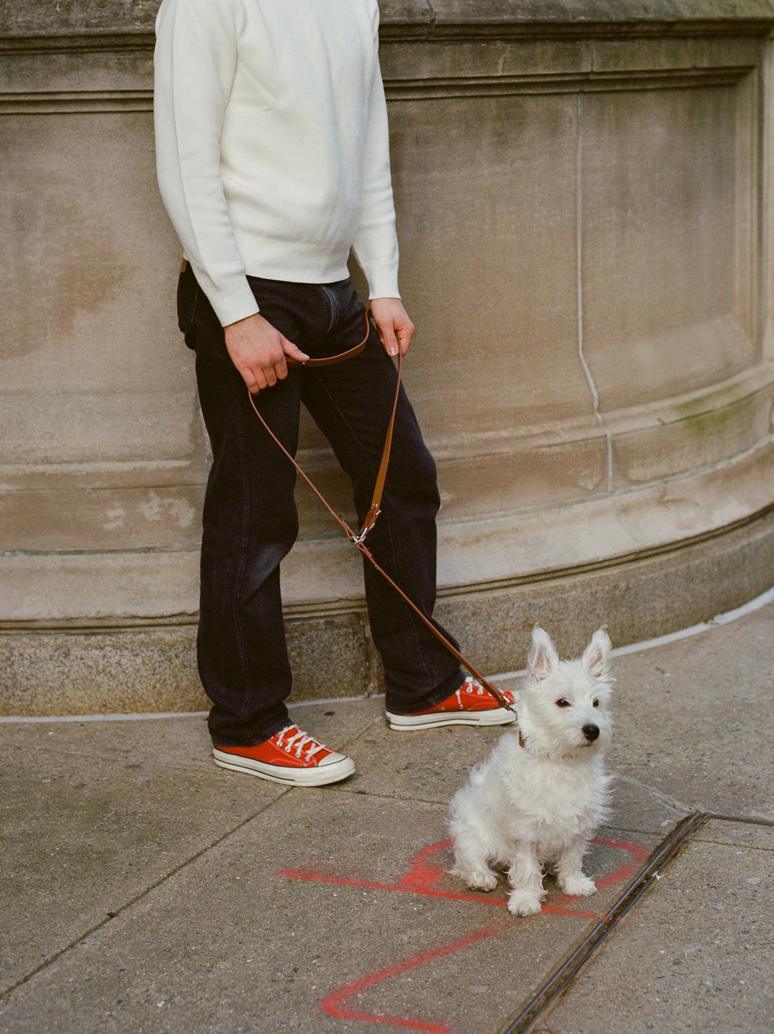 Flower Power Adjustable Leash