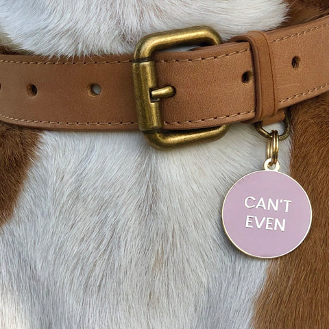 Pet ID Tag - Can't Even