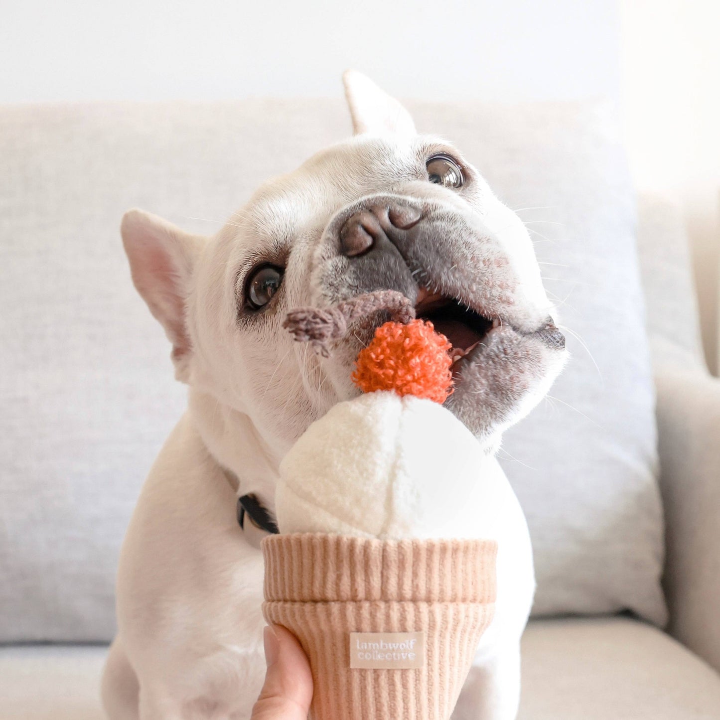 LAMBWOLF - ICE CREAM POP ENRICHMENT TOY & SNUFFLE TOY