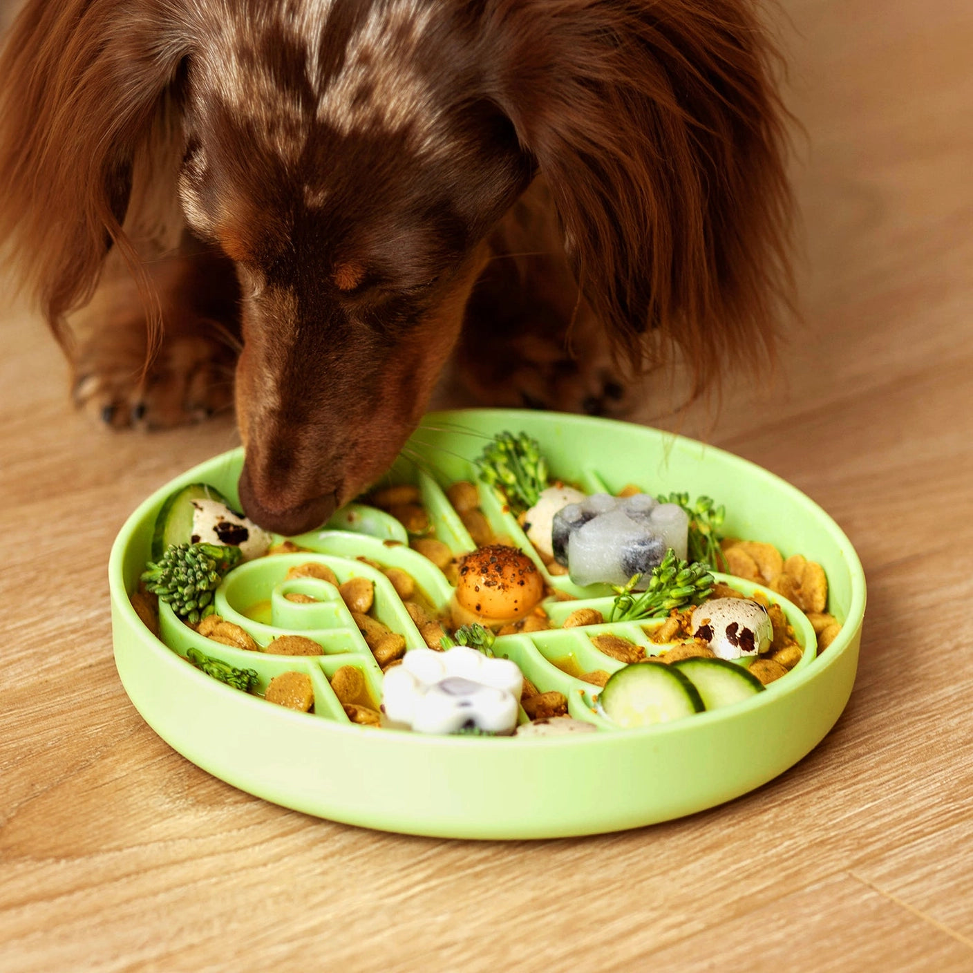 Zoomies Slow Feeder Bowl - Honeydew