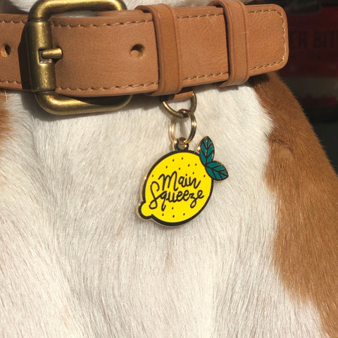 Pet ID Tag - Main Squeeze
