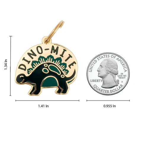 Pet ID Tag - Dino-Mite