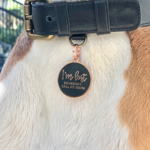 Pet ID Tag - I'm Lost Somebody Call My Mama in Rose Gold