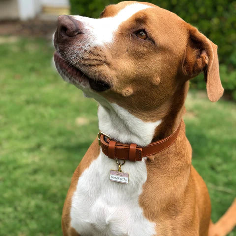 Pet ID Tag - Good Girl