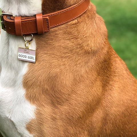 Pet ID Tag - Good Girl
