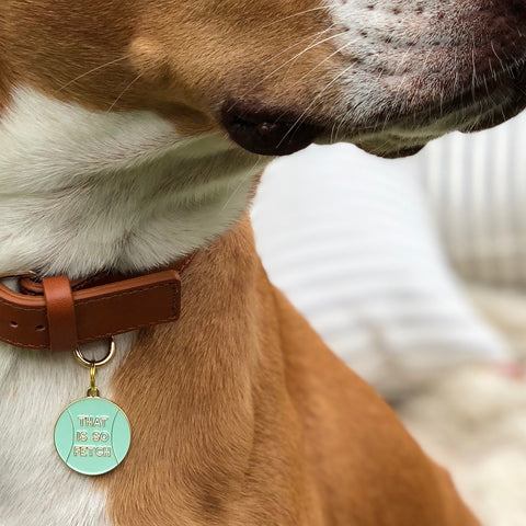 Pet ID Tag - That Is So Fetch