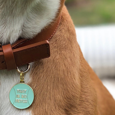 Pet ID Tag - That Is So Fetch