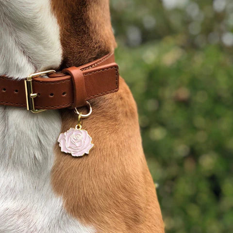 Pet ID Tag - Rose