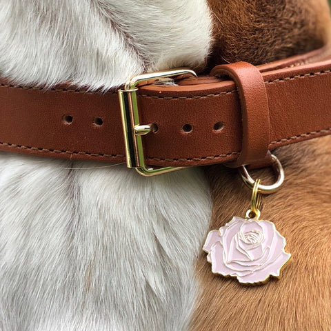 Pet ID Tag - Rose