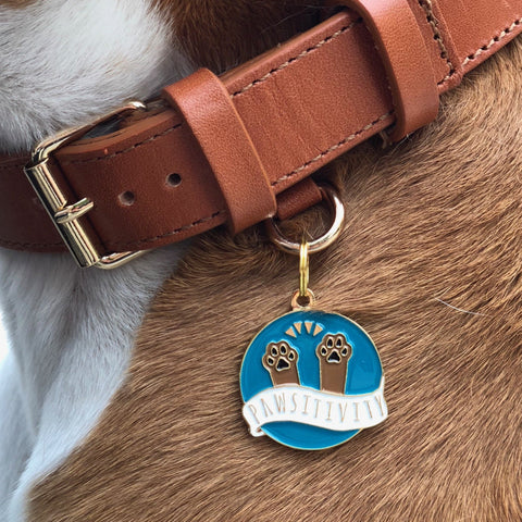 Pet ID Tag - Pawsitivity