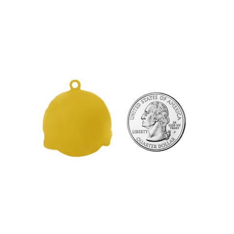Pet ID Tag - Pawsitivity