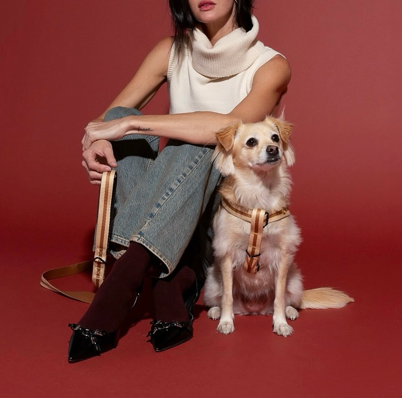 SAINT RUE - Rue de Rivoli Harness & Leash Set