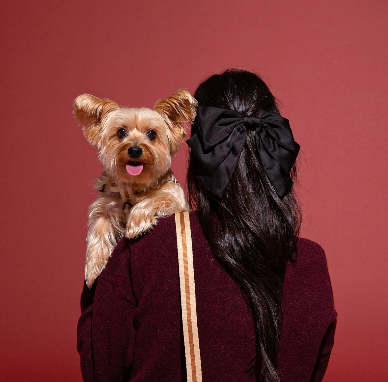SAINT RUE - Rue de Rivoli Harness & Leash Set