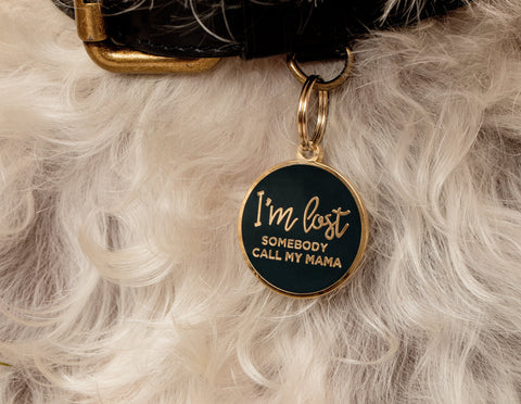 Pet ID Tag - I'm Lost Somebody Call My Mama