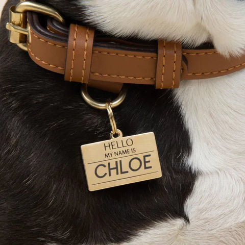 Pet ID Tag - Hello My Name Is