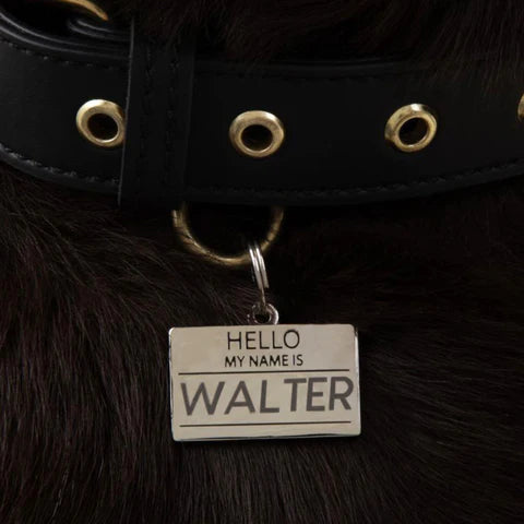 Pet ID Tag - Hello My Name Is